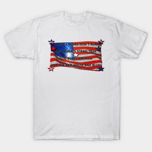 These Colors don't run! T-Shirt